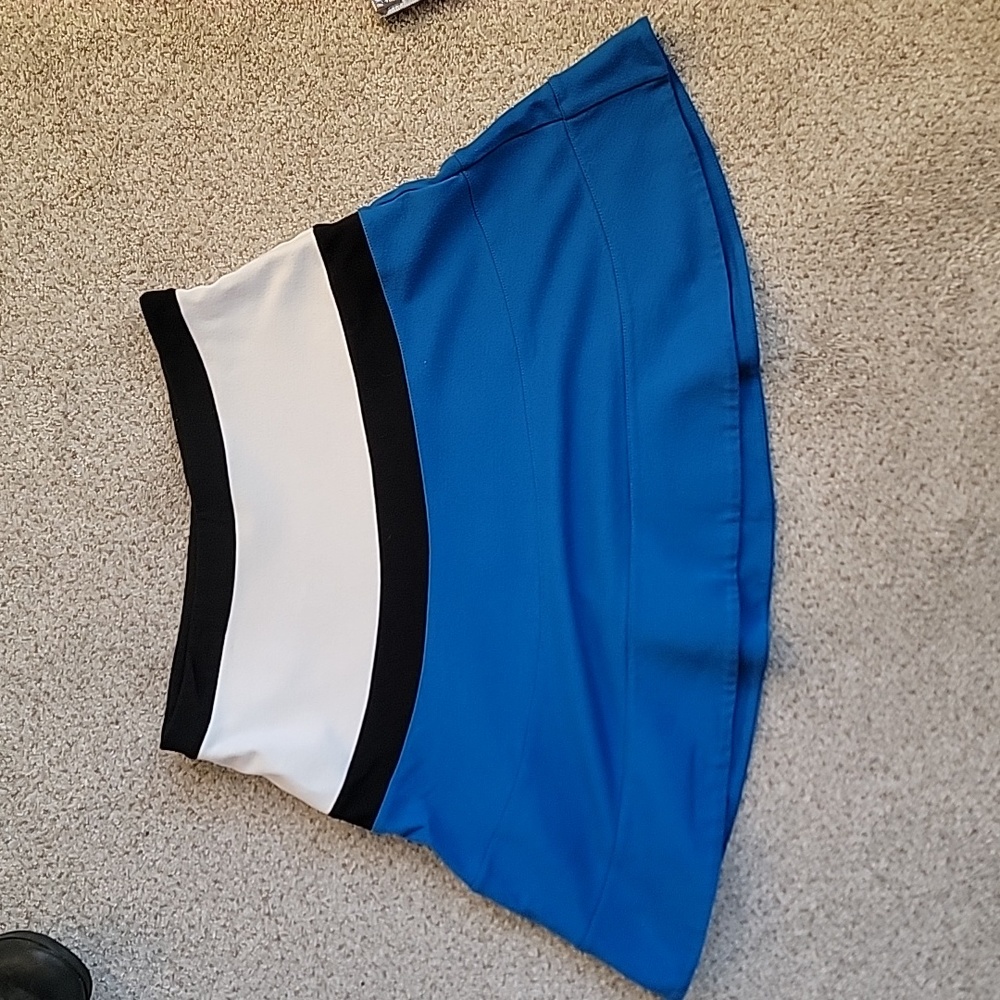 Express skirt size 2